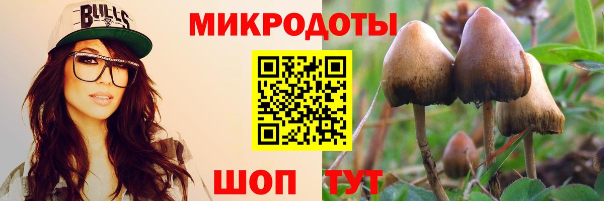 Видное  Галлюциногенные грибы прущие грибы  Вход с VPN 