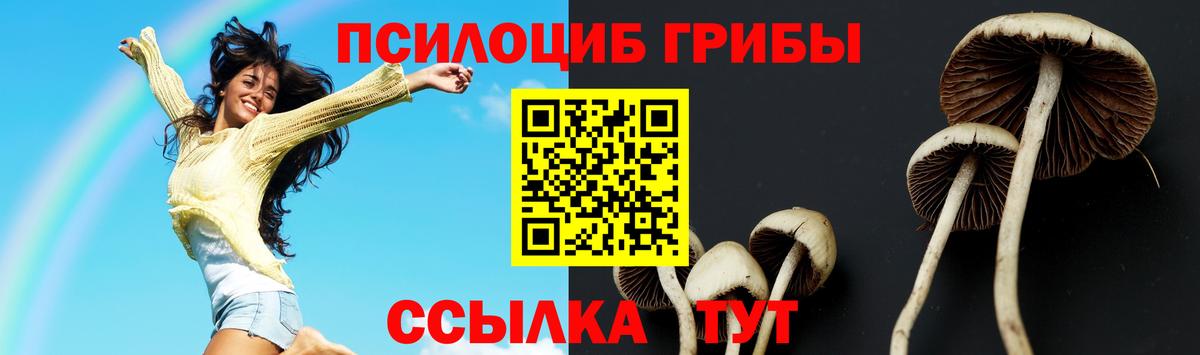 Галлюциногенные грибы Cubensis Видное