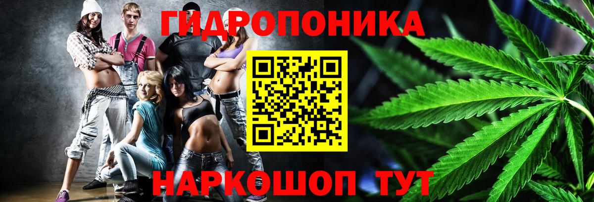 Видное  Канабис OG Kush  Марихуана планчик  Вход с VPN  Марихуана планчик  Бошки Шишки AK-47 